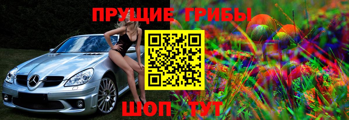 Псилоцибиновые грибы Cubensis  Вход с VPN  Волжский 