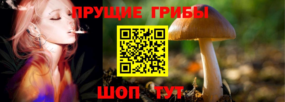 Каннабис Волжский